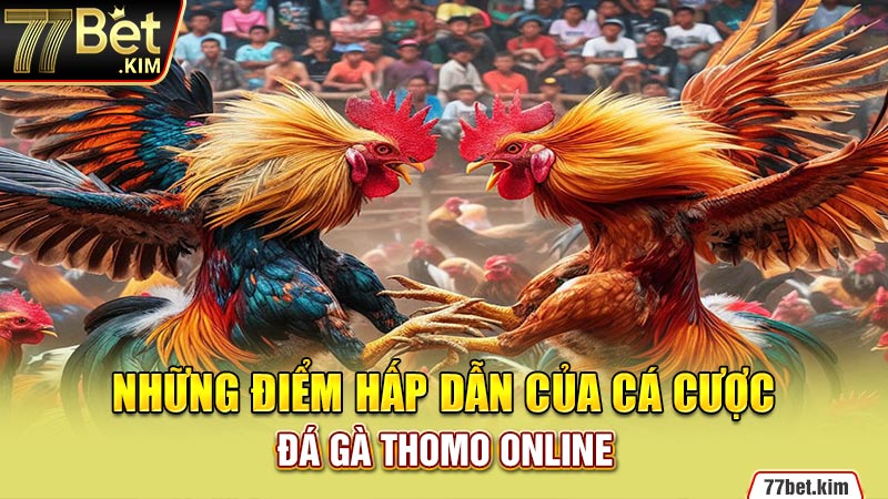 Những điểm hấp dẫn của cá cược đá gà Thomo online