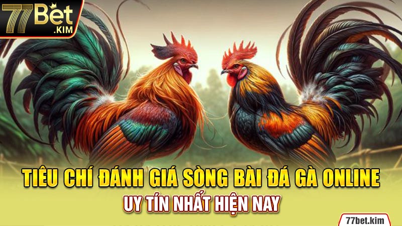 Tiêu chí đánh giá sòng bài đá gà online uy tín nhất hiện nay