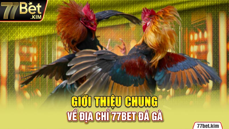 Giới thiệu chung về địa chỉ 77BET đá gà