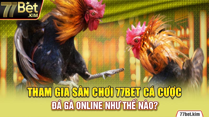 Tham gia sân chơi 77BET cá cược đá gà online như thế nào?